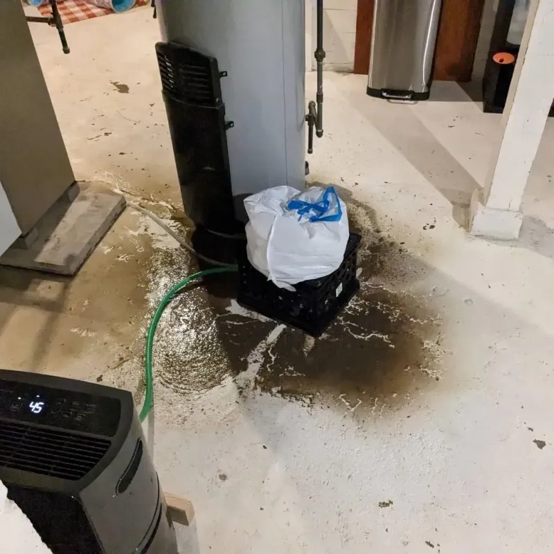 Sewage Backup Cleanup Service in Sauk Village, IL